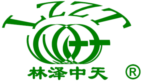 林泽中天（北京）科技有限公司